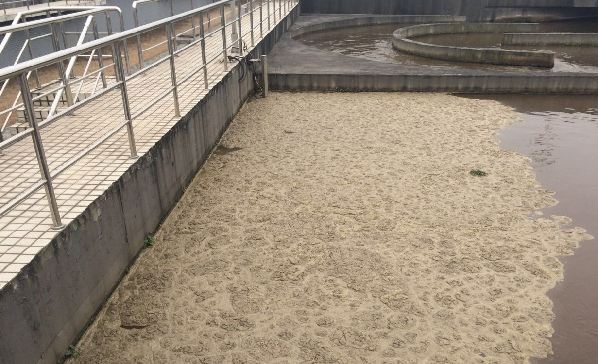 導(dǎo)致聚合氯化鋁不沉淀的原因